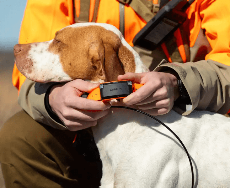 Garmin Alpha LTE suņu izsekotājs
