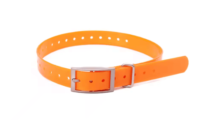 Oranžas krāsas kakla siksna, 26 mm plata