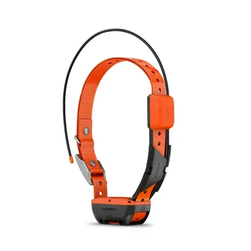 Garmin Alpha T20