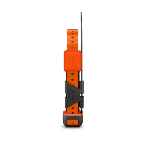 Garmin Alpha T20