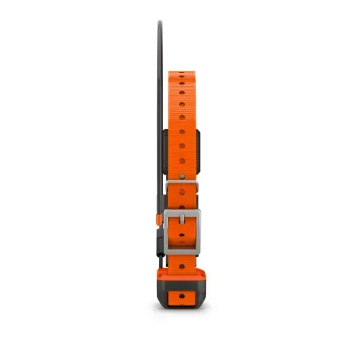 Garmin Alpha T20