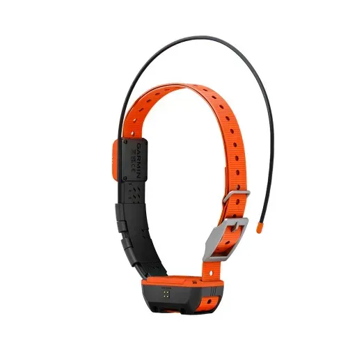 Garmin Alpha T20